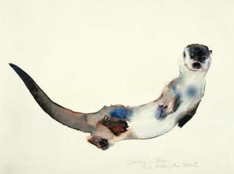 Curious Otter, 2003 (w/c on paper) | Obraz na stenu