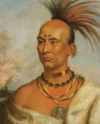 Makataimeshekiakiak (Black Hawk) c.1853 (oil on canvas) | Obraz na stenu