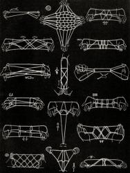 String games of Northern Queensland and Torres Straits Aborigines, Australia. A design formed by manipulating string on or around one's fingers. The complex patterns created can be made purely for entertainment or can be used to pass on information about  | Obraz na stenu