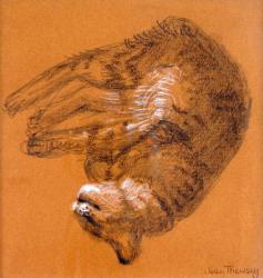 Sleeping Tabby Cat,2005,(graphite and white pastel) | Obraz na stenu