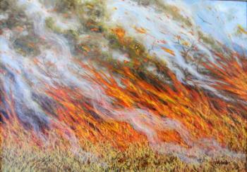 Bushfire Inferno, 2014, (oil on canvas) | Obraz na stenu