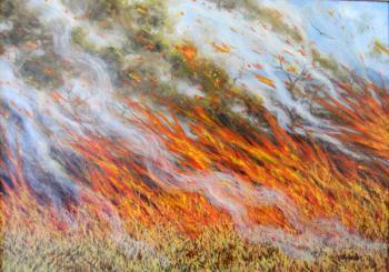 Bushfire Inferno, 2014, (oil on canvas) | Obraz na stenu