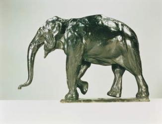 White Elephant (bronze) | Obraz na stenu