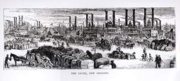 The Levee, New Orleans (engraving) (b/w photo) | Obraz na stenu
