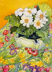 Pale Primrose in a Pot with Spring-flowered Textile,2000 (watercolour) | Obraz na stenu