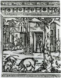 A Farm, illustration from 'Theatre d'Agriculture et Mesnage des Champs' by Olivier de Serres (1539-1619) (woodcut) (b/w photo) | Obraz na stenu