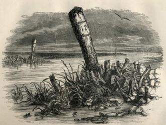 Daniel Quilp is washed ashore, from 'The Old Curiosity Shop' by Charles Dickens (engraving) | Obraz na stenu