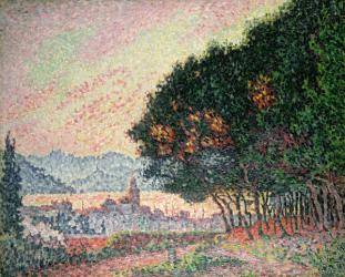 Forest near St. Tropez, 1902 | Obraz na stenu