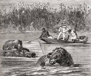 Hippopotamus hunting in Africa in the 19th century. From Africa by Keith Johnston, published 1884. | Obraz na stenu