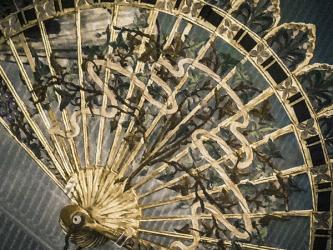 The Gilded Fan, from the series, Josephine's Fans, 2016 (photograph) | Obraz na stenu