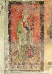 St. Apollonia, mural from the crypt, c.1480-1540 (fresco) | Obraz na stenu