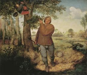 Peasant and Birdnester, 1568 (oil on panel) | Obraz na stenu