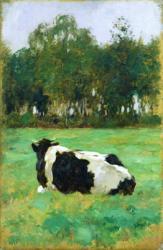 A Cow in the Meadow (oil on cardboard) | Obraz na stenu