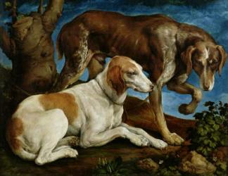 Two Hunting Dogs Tied to a Tree Stump, c.1548-50 (oil on canvas) | Obraz na stenu