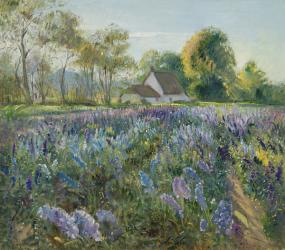 October Delphiniums (oil on canvas) | Obraz na stenu