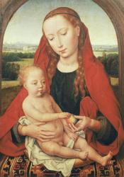 Virgin and Child, c.1485-90 (oil on panel) | Obraz na stenu