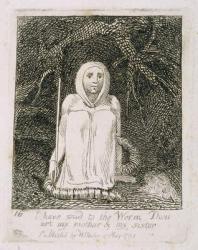 I Have Said to the Worm Thou Art My Mother and My Sister, plate 17 from 'For Children. The Gates of Paradise', 1793 (engraving) | Obraz na stenu