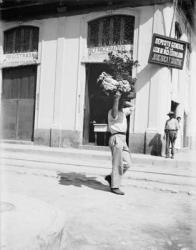 Flower vendor, Havana, c.1910 (b/w photo) | Obraz na stenu