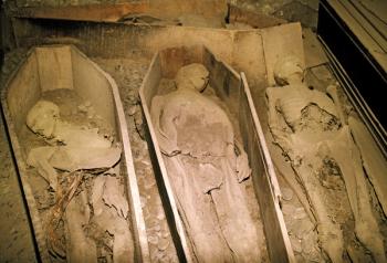 Mummified Bodies (photo) | Obraz na stenu