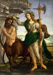 Athene and the Centaur, c.1480 (tempera on panel) | Obraz na stenu