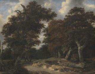 Road through an Oak Forest, 1646-47 (oil on canvas) | Obraz na stenu