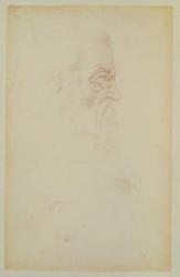 Sketch of a male head and two legs (charcoal on paper) | Obraz na stenu