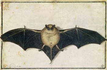 Bat, 1522 (w/c on paper) | Obraz na stenu