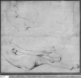 Studies for The Grande Odalisque (graphite on paper) (b/w photo) (see also 233243) | Obraz na stenu