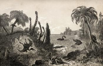 Jurassic Landscape (engraving) | Obraz na stenu