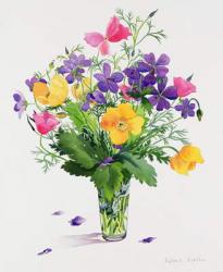 Poppies and Geraniums (w/c on paper) | Obraz na stenu