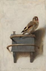 The Goldfinch, 1654 (oil on panel) | Obraz na stenu