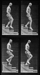 Man descending stairs, from 'Animal Locomotion', 1887 (b/w photo) (detail of 425605) | Obraz na stenu