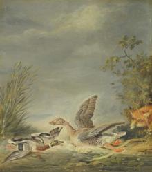 Fox and Waterfowl (oil on canvas) | Obraz na stenu