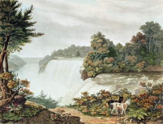 Niagara Falls, from Goat Island (colour litho) | Obraz na stenu
