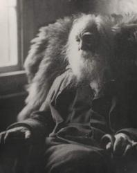 Walt Whitman, 1891 (b/w photo) | Obraz na stenu