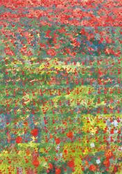 Poppies, 2012, (oil on canvas) | Obraz na stenu