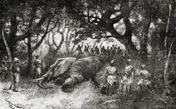 Hunting elephants in Central Africa in the late 19th century, from 'Africa Pintoresca', published 1888 (engraving) | Obraz na stenu