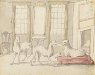Three Greyhounds in a room (graphite and pen & ink on paper) | Obraz na stenu