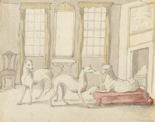 Three Greyhounds in a room (graphite and pen & ink on paper) | Obraz na stenu