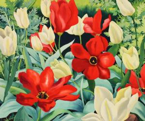 Early Tulips (watercolour on paper) | Obraz na stenu