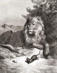 The Lion and the Mouse, from a late 19th century edition of 'Fables de La Fontaine' (wood engraving) | Obraz na stenu