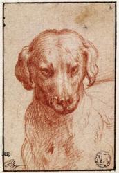 Head of a Dog (red chalk on paper) | Obraz na stenu