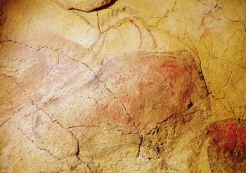 Bison, from the Caves at Altamira, c.15000 BC (cave painting) | Obraz na stenu