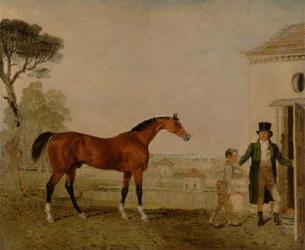 'Sultan' at the Marquess of Exeter's Stud, Burghley, 1826 (oil on canvas) | Obraz na stenu