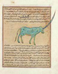 Ms E-7 fol.191b Rhinoceros, illustration from 'The Wonders of the Creation and the Curiosities of Existence' by Zakariya'ibn Muhammad al-Qazwini (gouache on paper) | Obraz na stenu