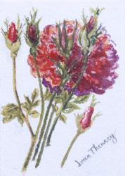 Little Red Roses, 2005, (w/c on handmade water colour board) | Obraz na stenu