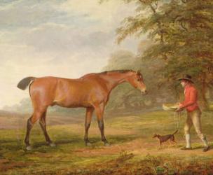 A Bay Horse Approached by a Stable-lad with Food and a Halter, 1789 (oil on canvas) | Obraz na stenu