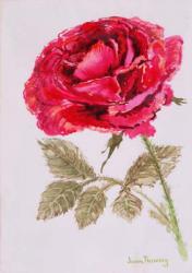 A Red Rose,2000, Water colour on handmade paper | Obraz na stenu