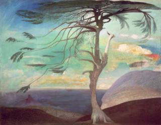 The Solitary Cedar, 1907 (oil on canvas) | Obraz na stenu