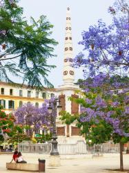 Plaza de la Merced, Malaga, Spain (photo) | Obraz na stenu